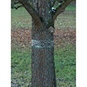 Klisterband limring 5m Swissinno® träd
