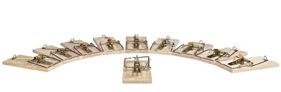 Musfällor slagfällor 10-pack
