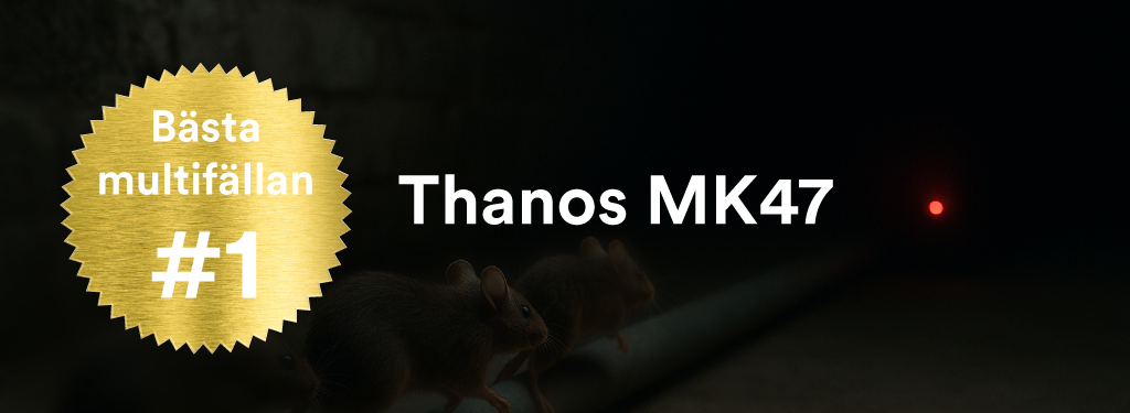 Bästa multimusfällan produktjämförelse